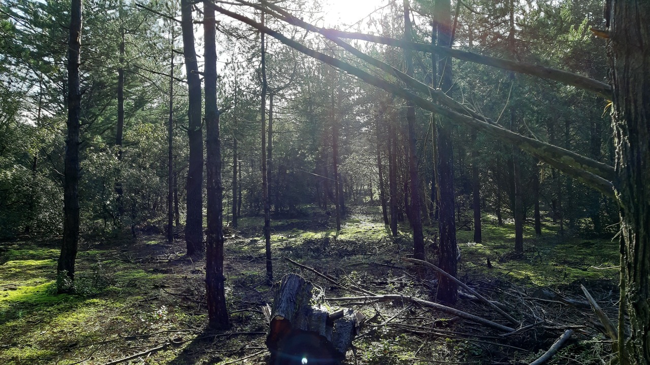Photo of Outdoor in Notre-Dame-de-Monts