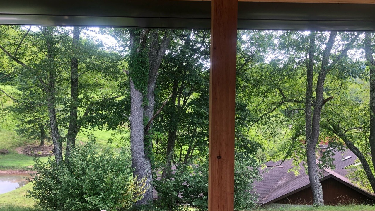 Photo of Outdoor in Weston