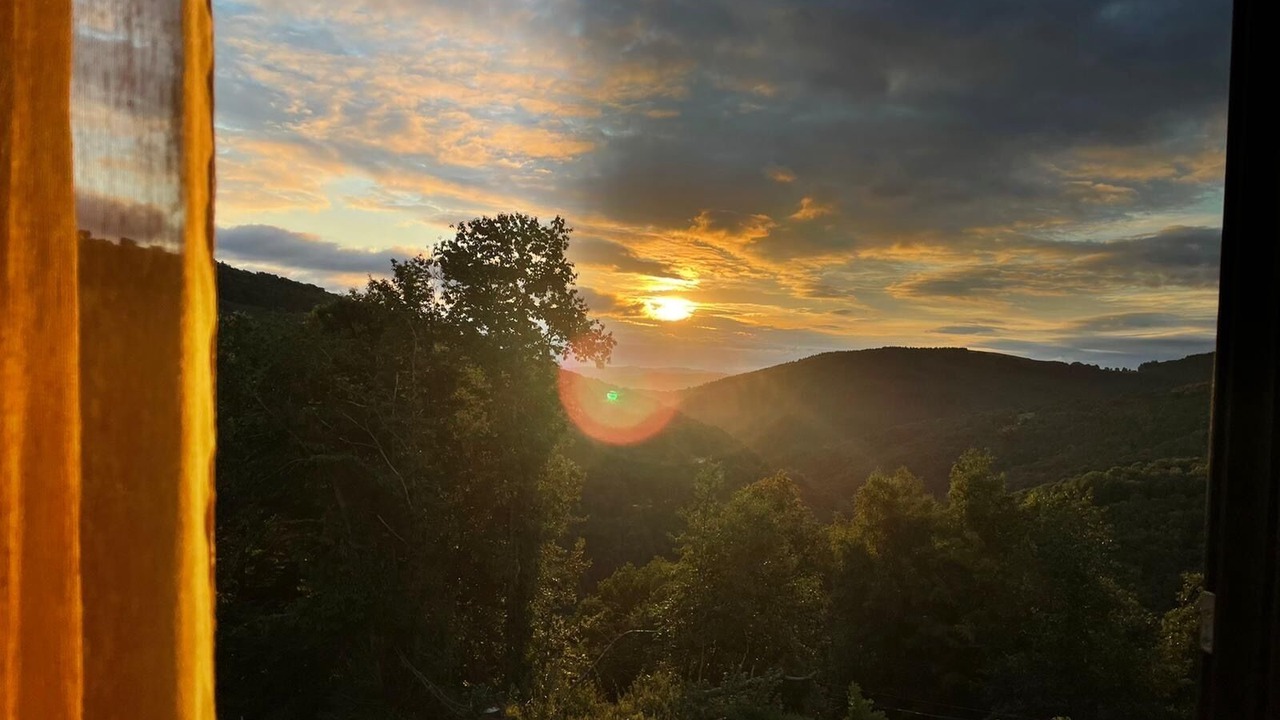 Photo of Others in Le Bosc