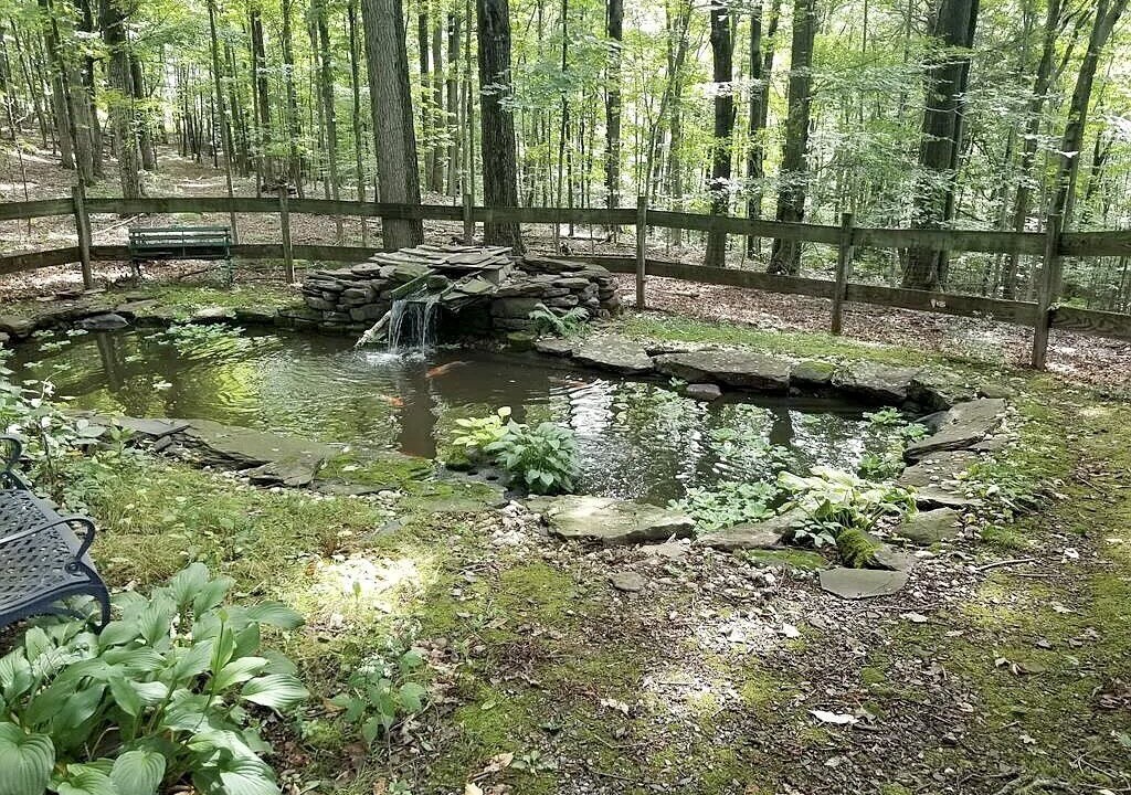 Photo of Outdoor in Dushore