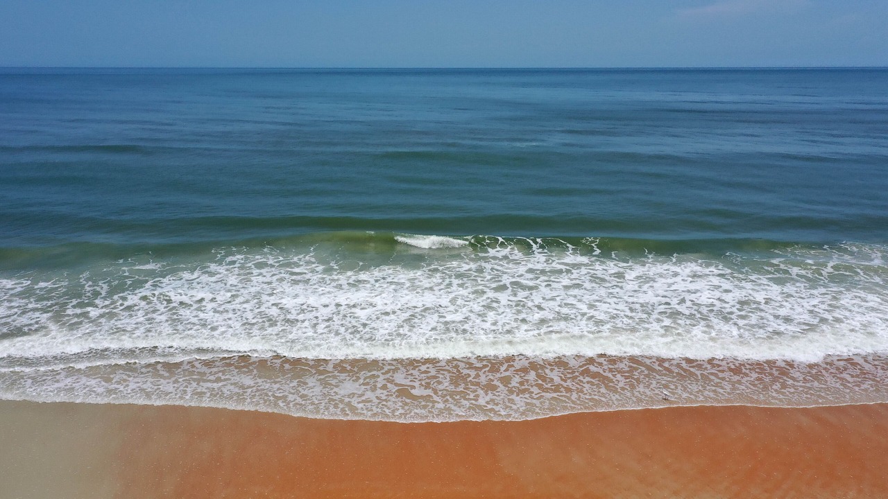 Photo of Others in Flagler Beach