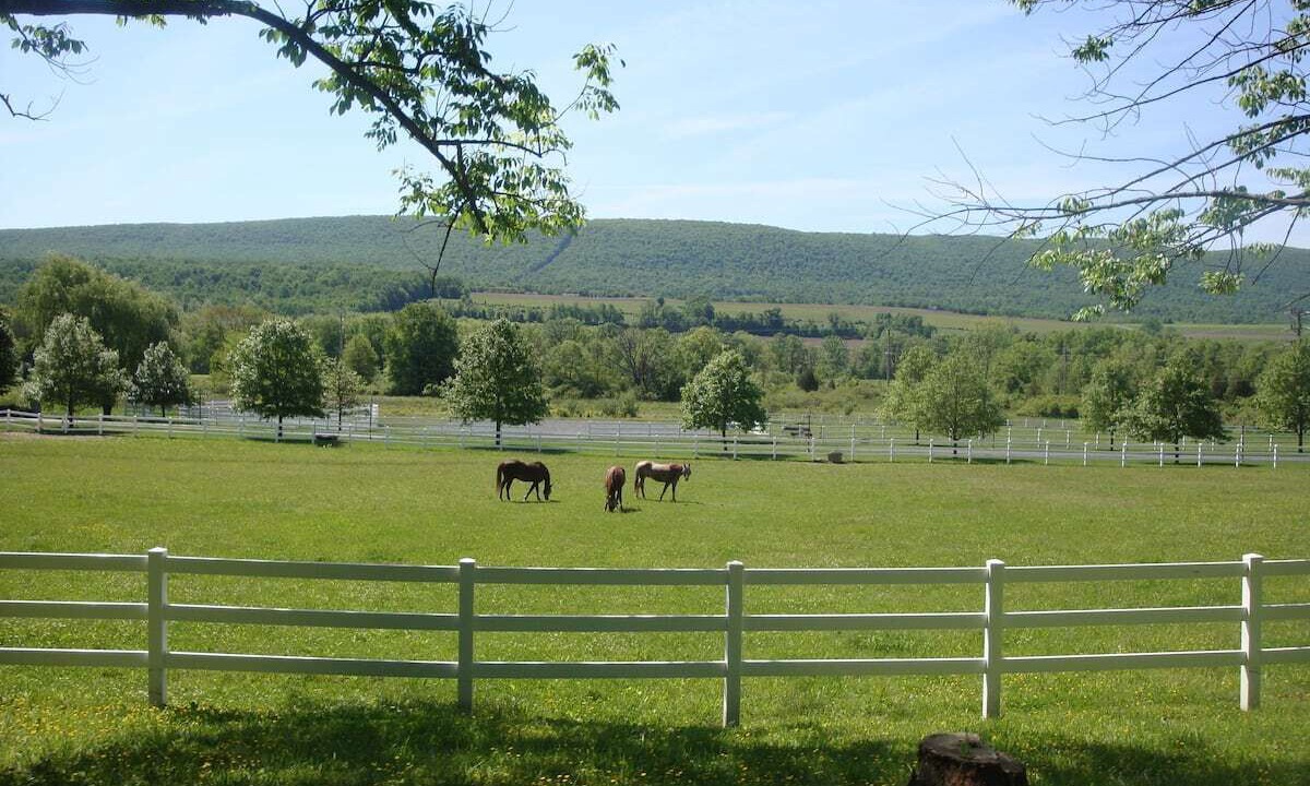 Photo of Outdoor in East Stroudsburg