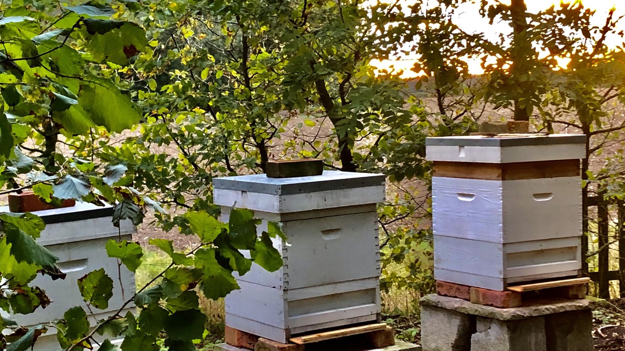 Photo of Outdoor in Gissing