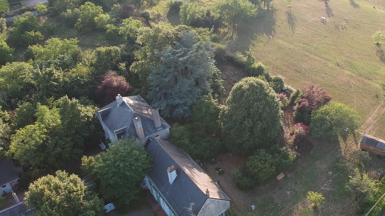 Photo of Outdoor in Saint-Dye-sur-Loire
