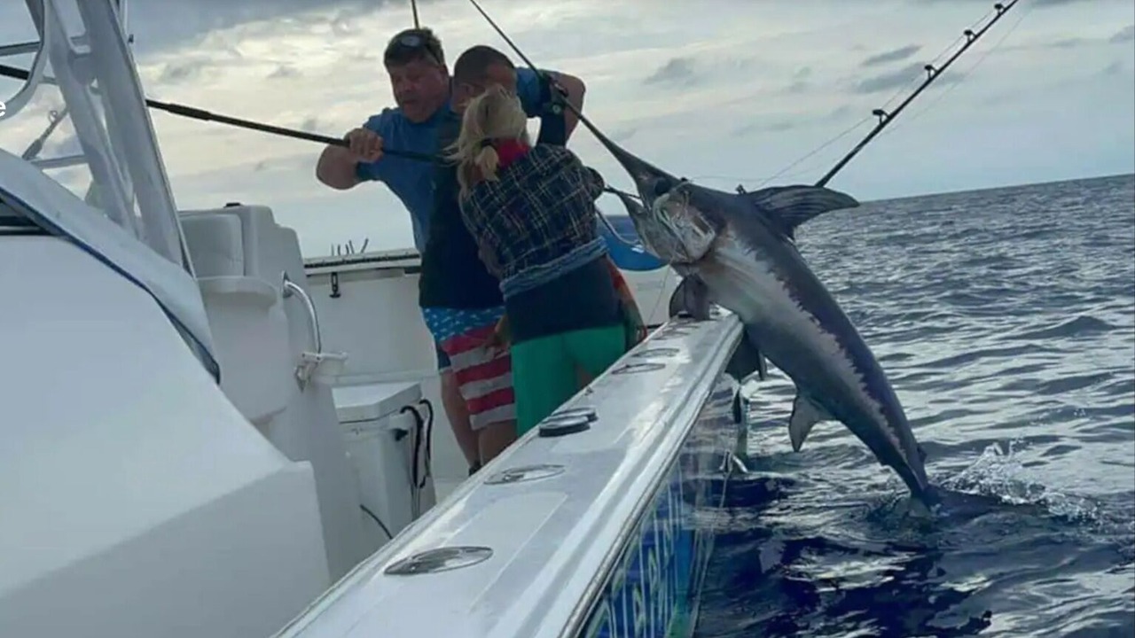 Photo of Others in Tavernier