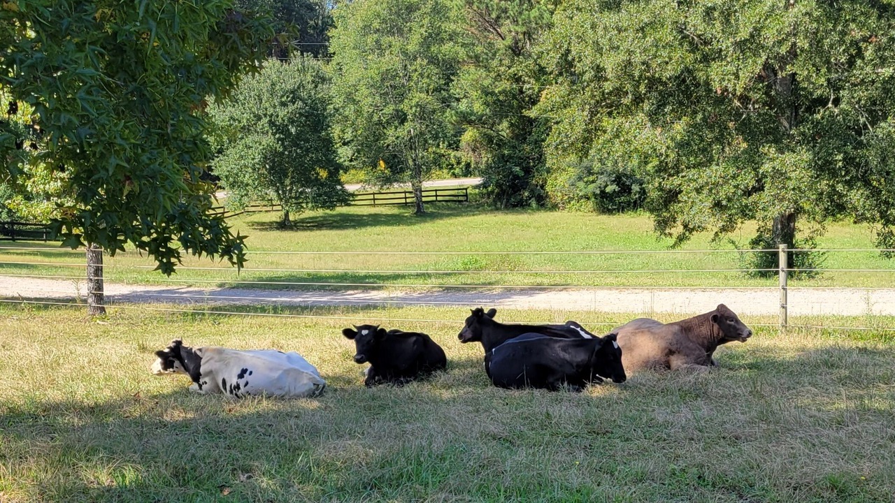 Photo of Others in Social Circle