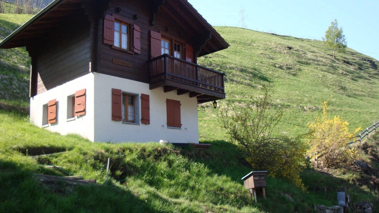 Photo of Outdoor in Bister
