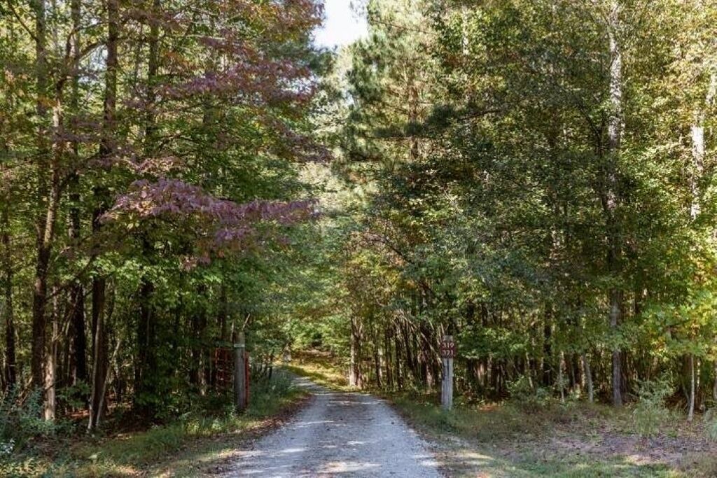 Photo of Others in Pittsboro