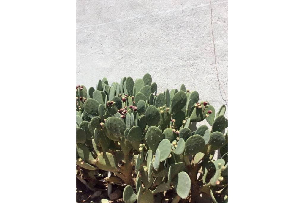 Photo of Others in Marfa