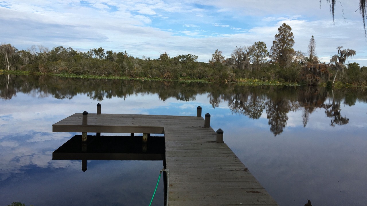 Photo of Outdoor in Citrus Springs