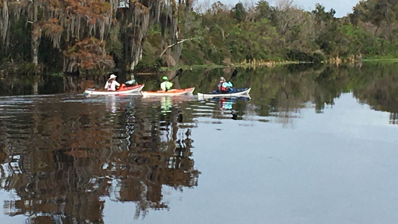 Photo of Others in Citrus Springs