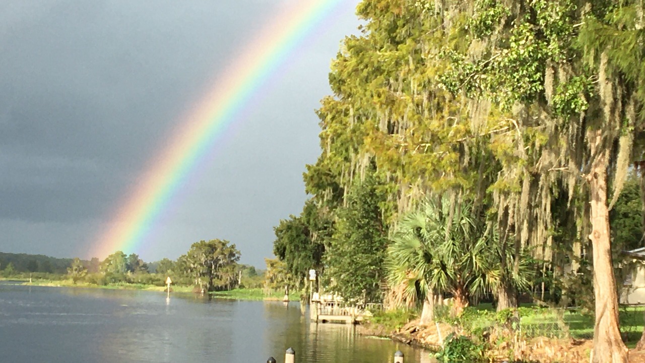 Photo of Others in Citrus Springs