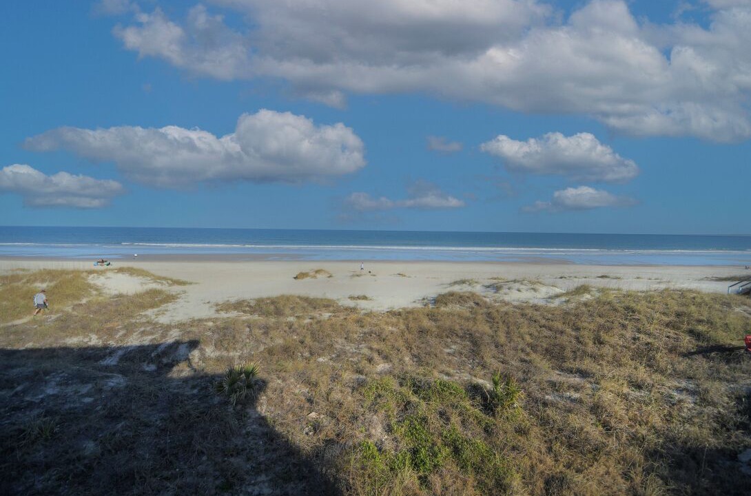 Photo of Others in Ocean Cay