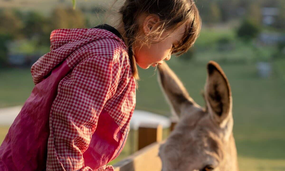 Photo of Others in Dixons Creek