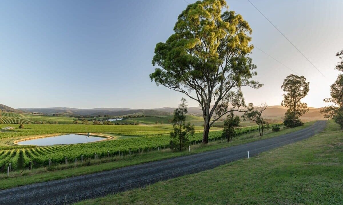 Photo of Others in Dixons Creek