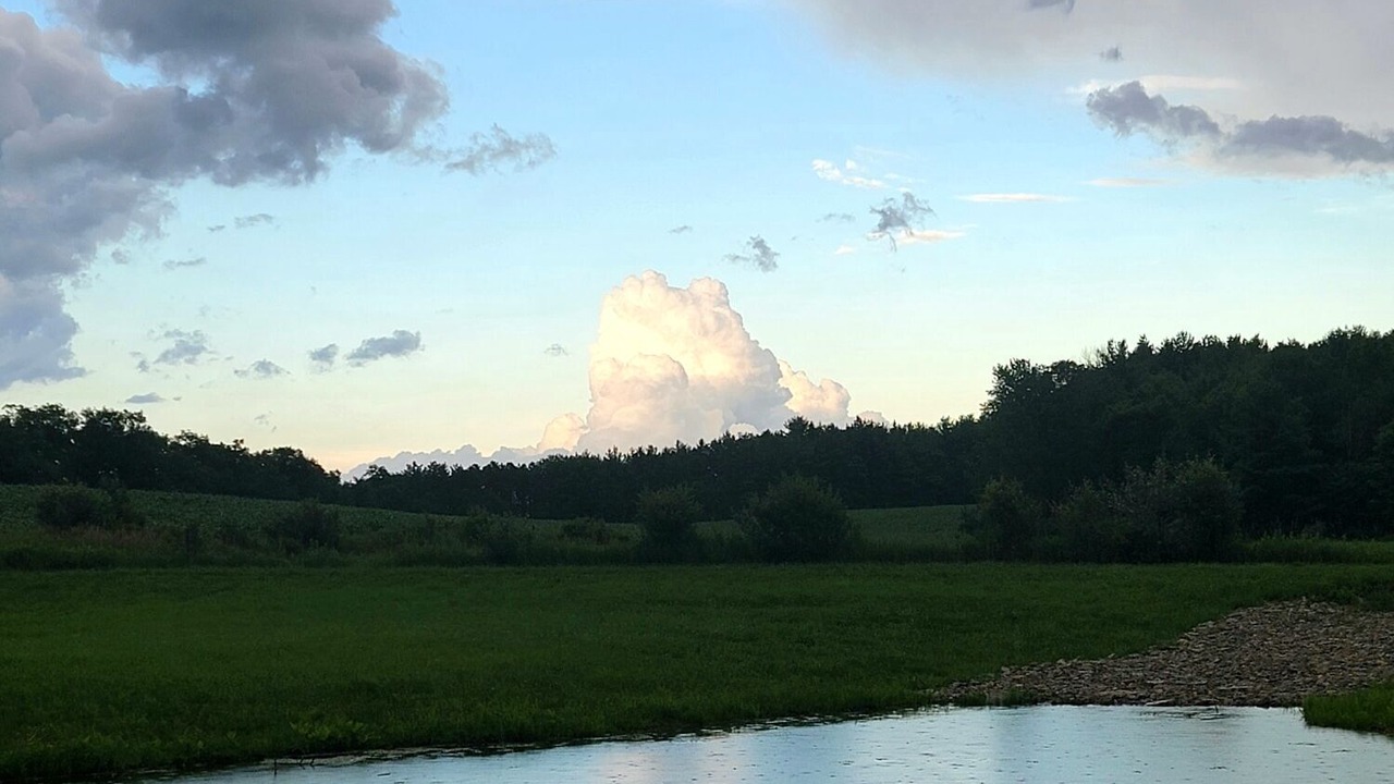 Photo of Others in Cameron Mills