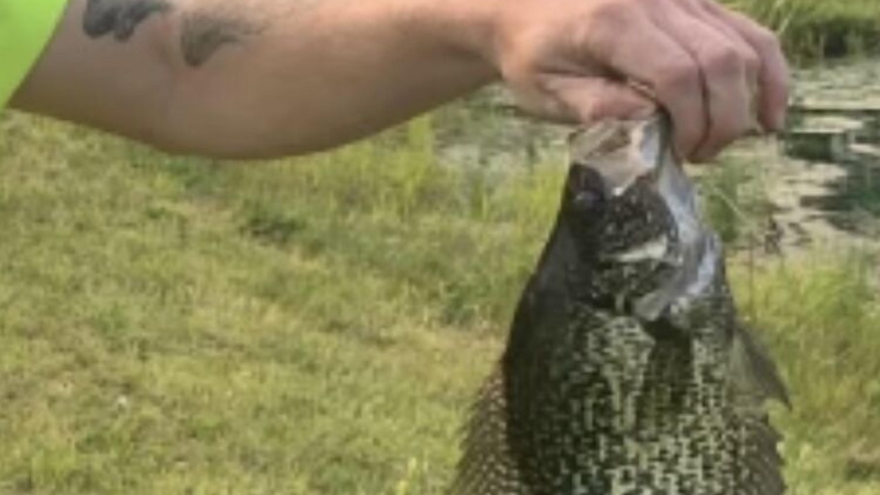 Photo of Others in Cameron Mills