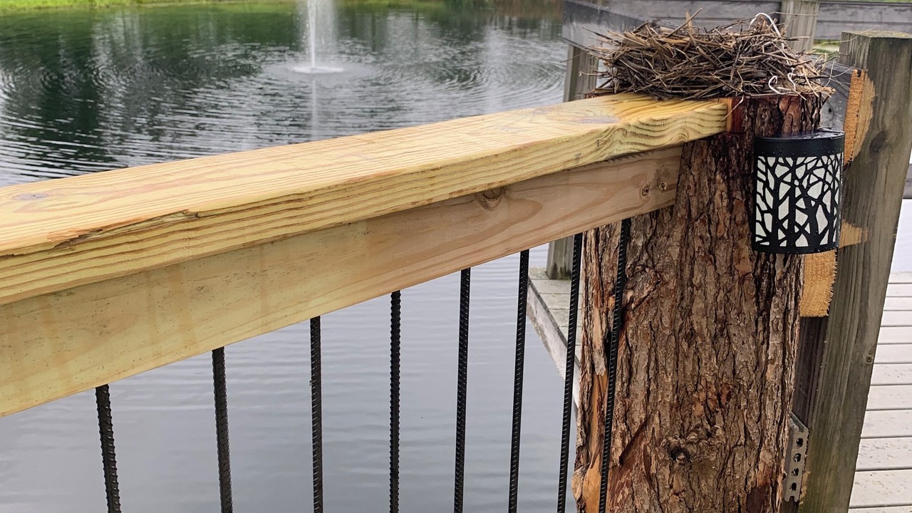 Photo of Outdoor in Cameron Mills