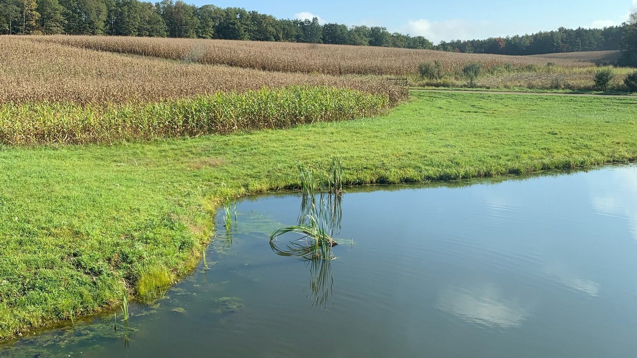 Photo of Others in Cameron Mills