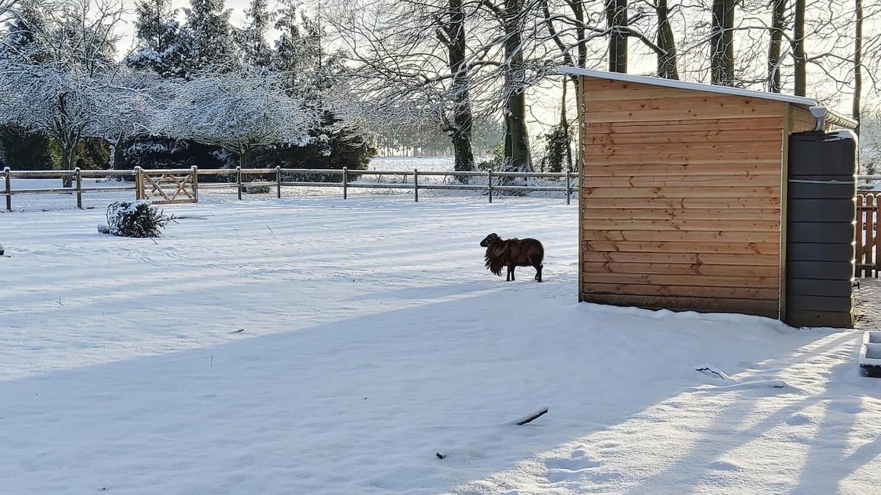 Photo of Outdoor in Cottevrard