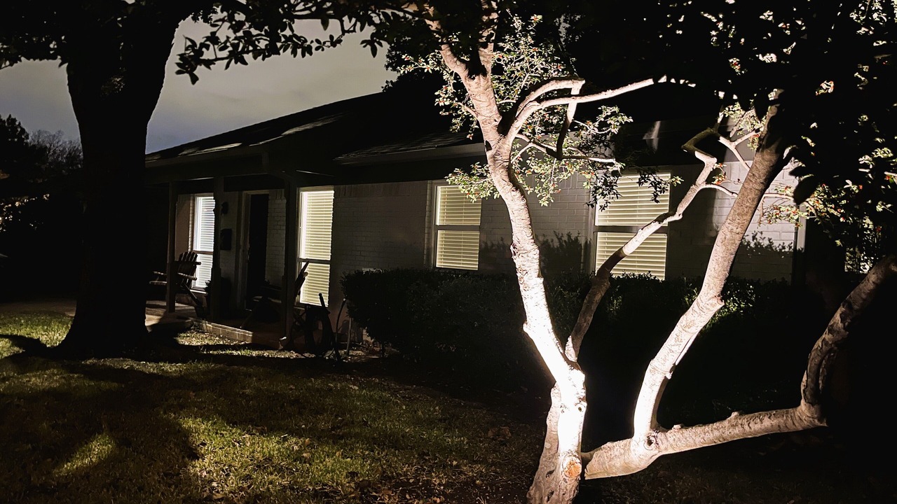 Photo of Outdoor in Plano