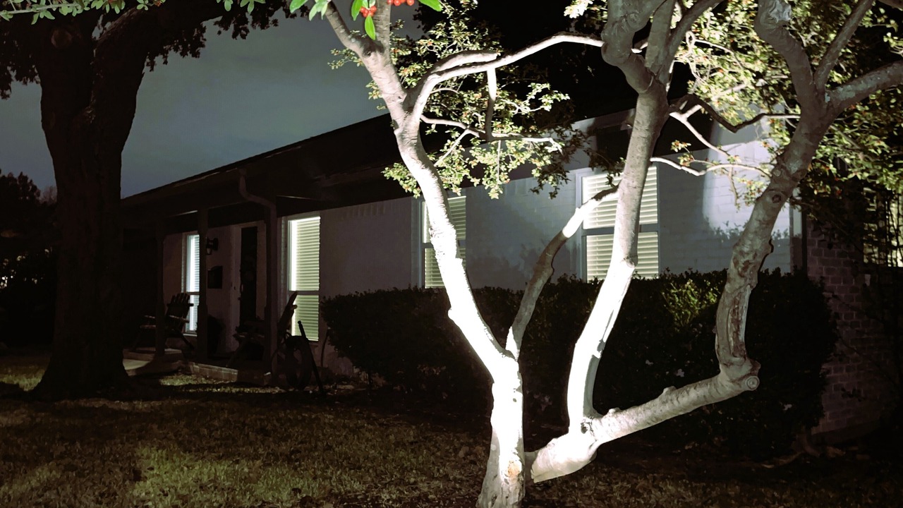 Photo of Outdoor in Plano