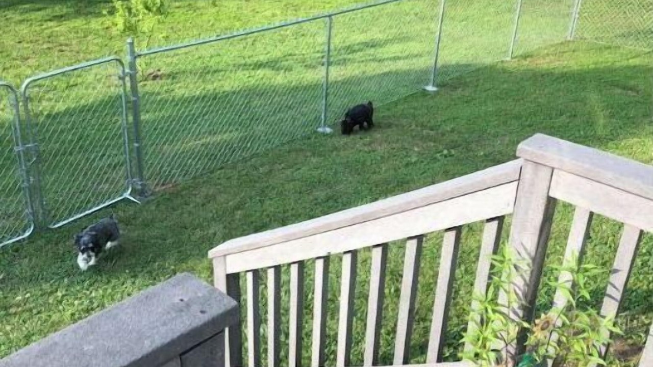 Photo of Outdoor in Union