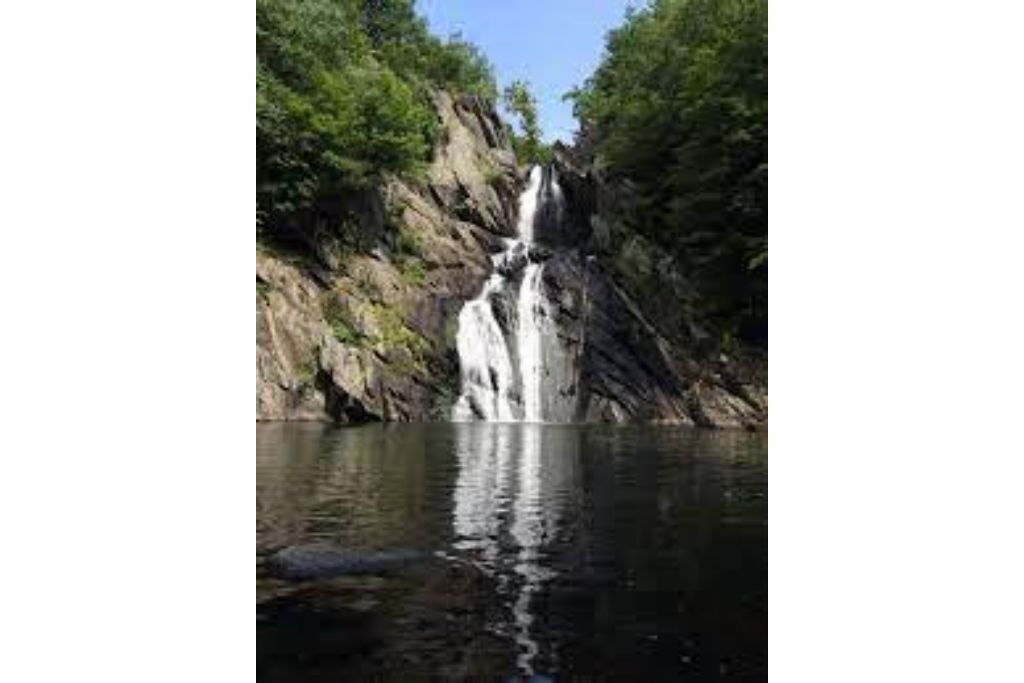 Photo of Others in Prattsville