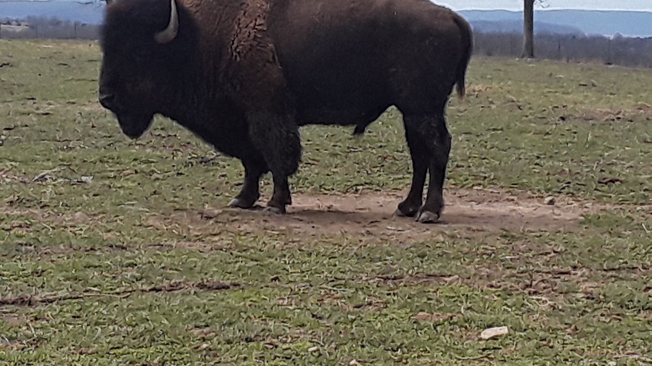 Photo of Outdoor in Marshall
