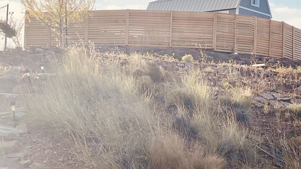 Photo of Others in Clay Springs