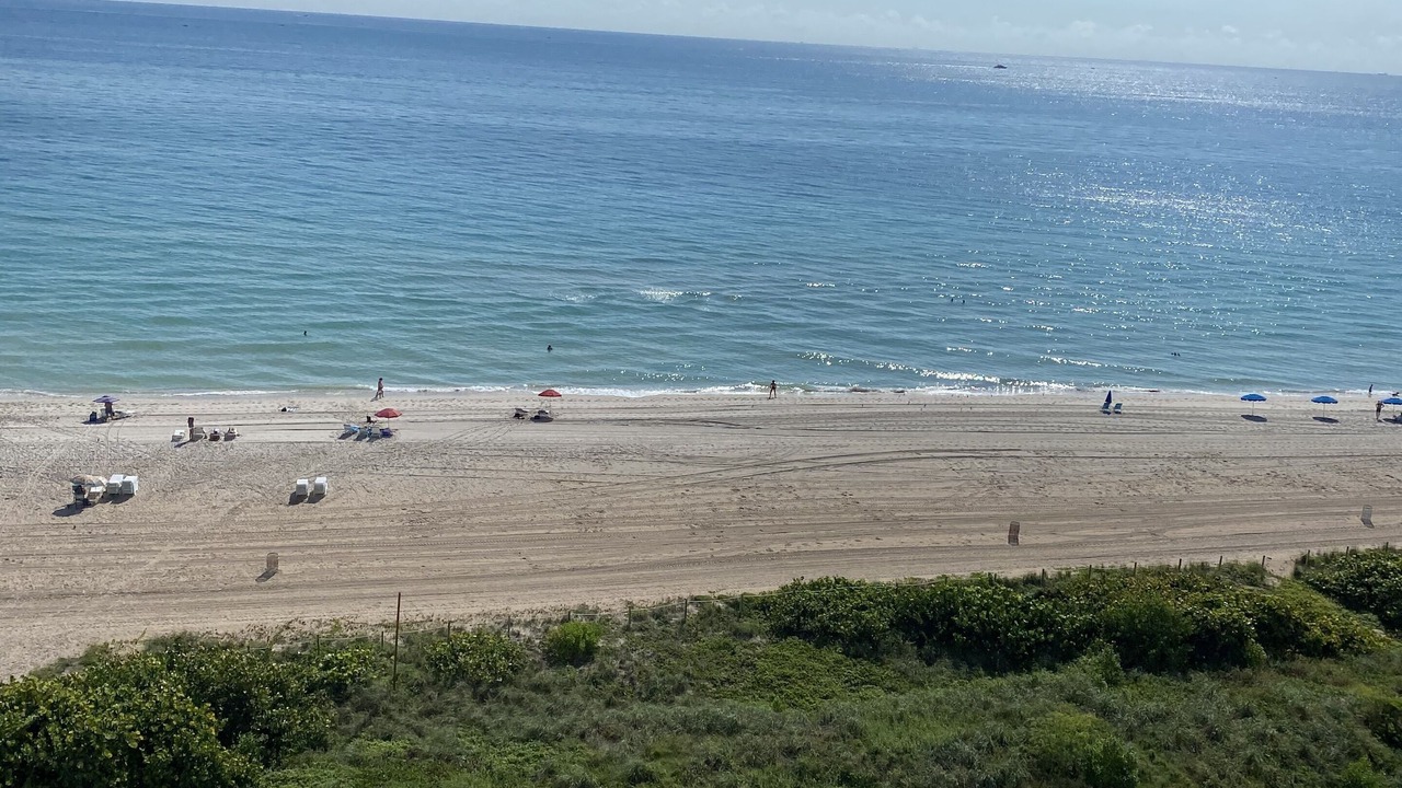Photo of Others in Mid Beach