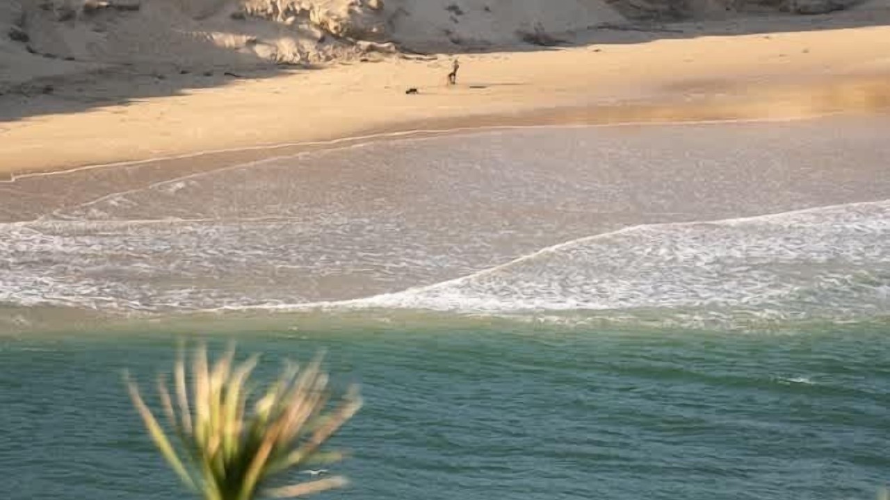 Photo of Others in Newquay City Centre