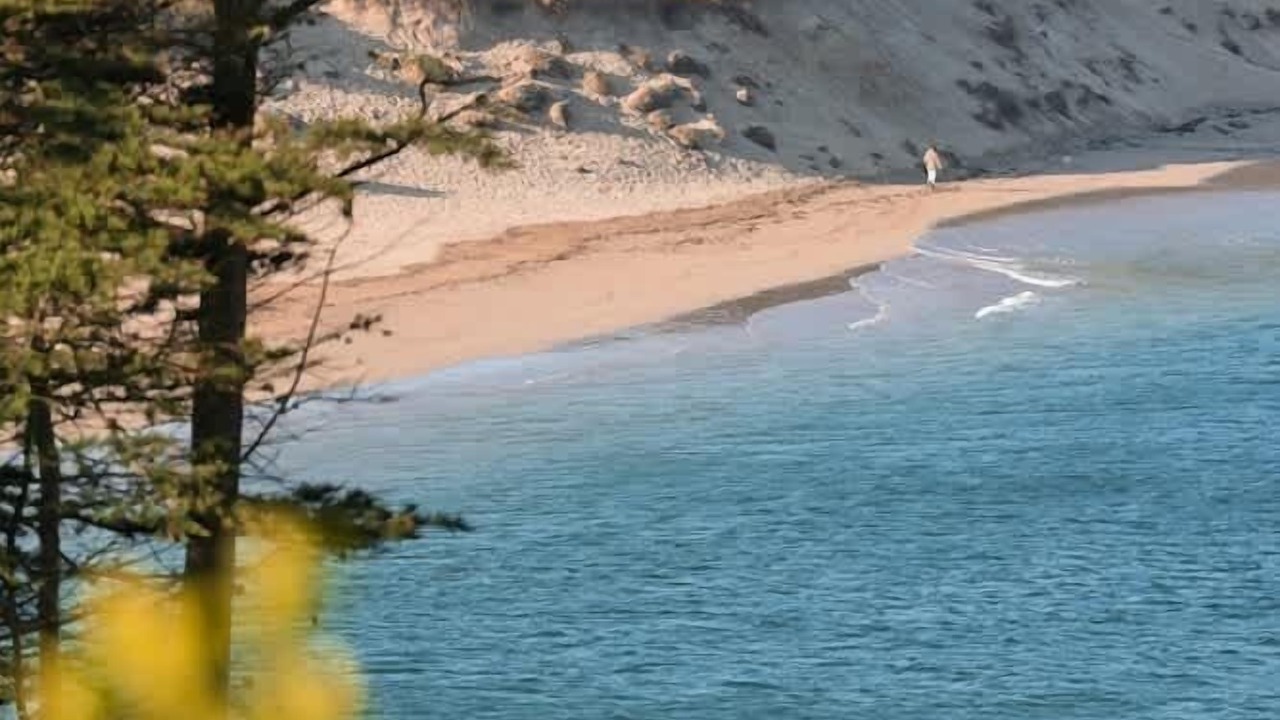 Photo of Others in Newquay City Centre