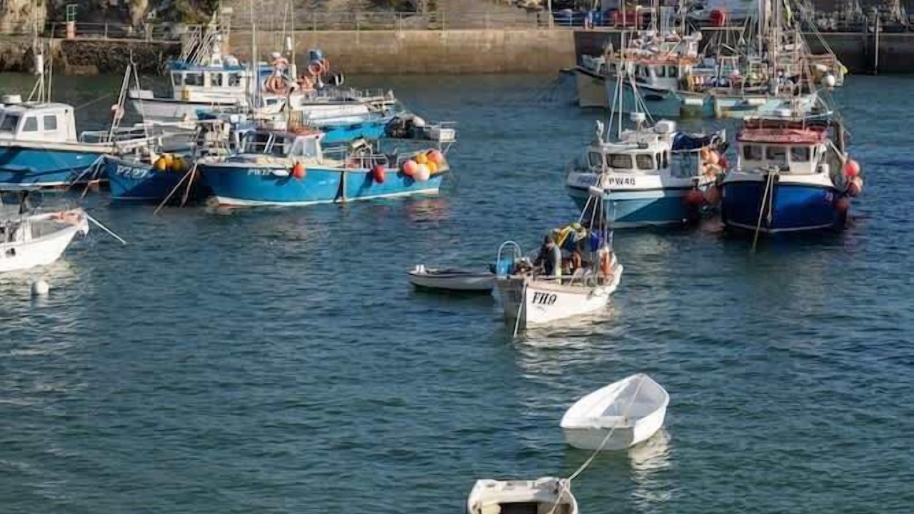 Photo of Others in Newquay City Centre