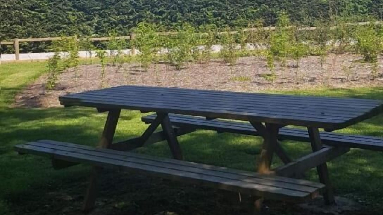 Photo of Outdoor in Regniowez