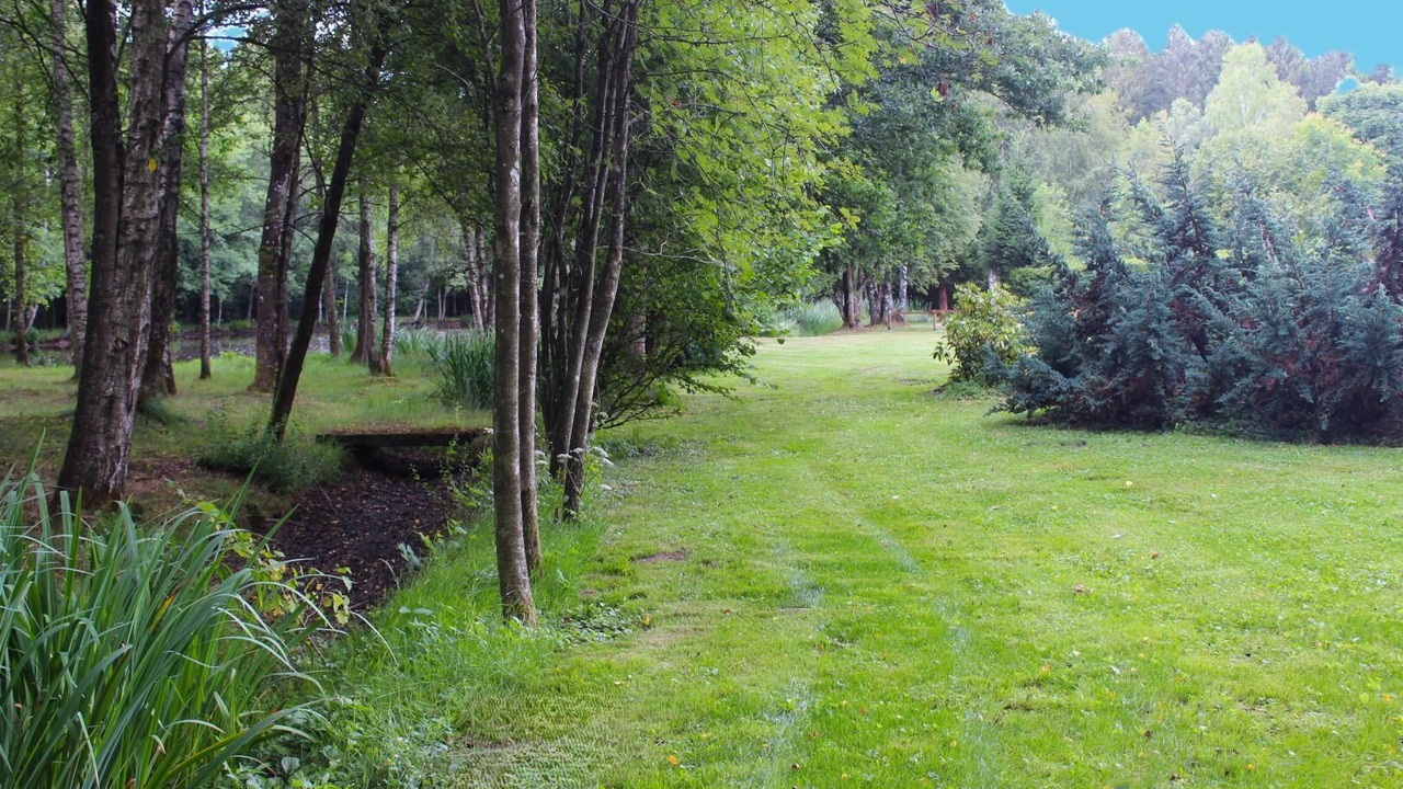 Photo of Outdoor in Regniowez