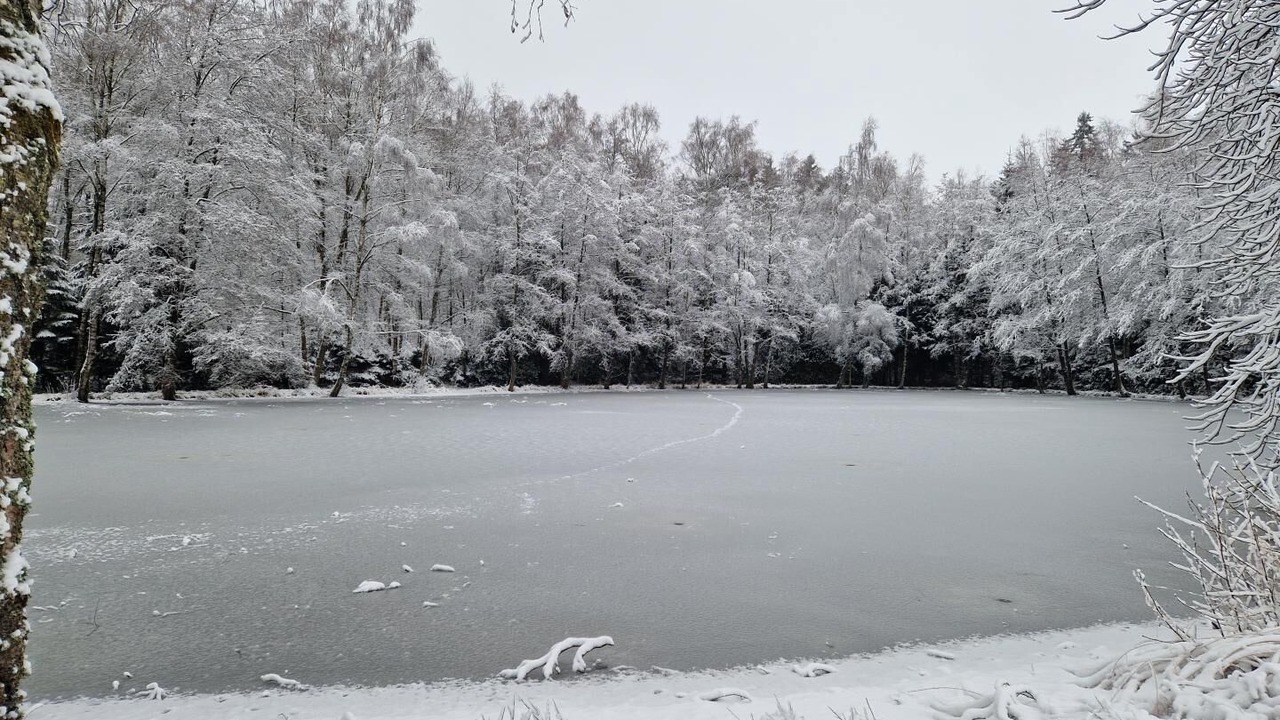 Photo of Others in Regniowez