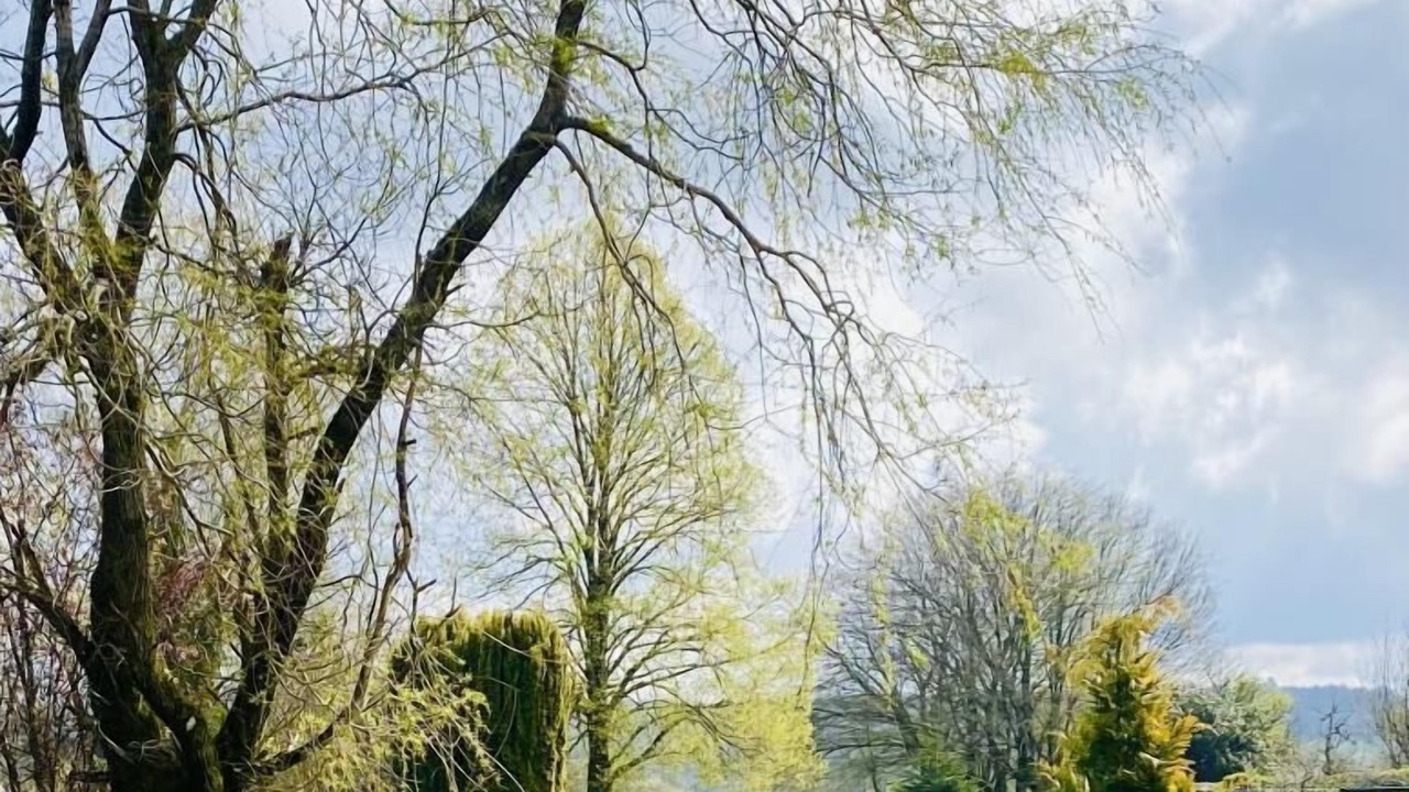 Photo of Outdoor in Rocroi