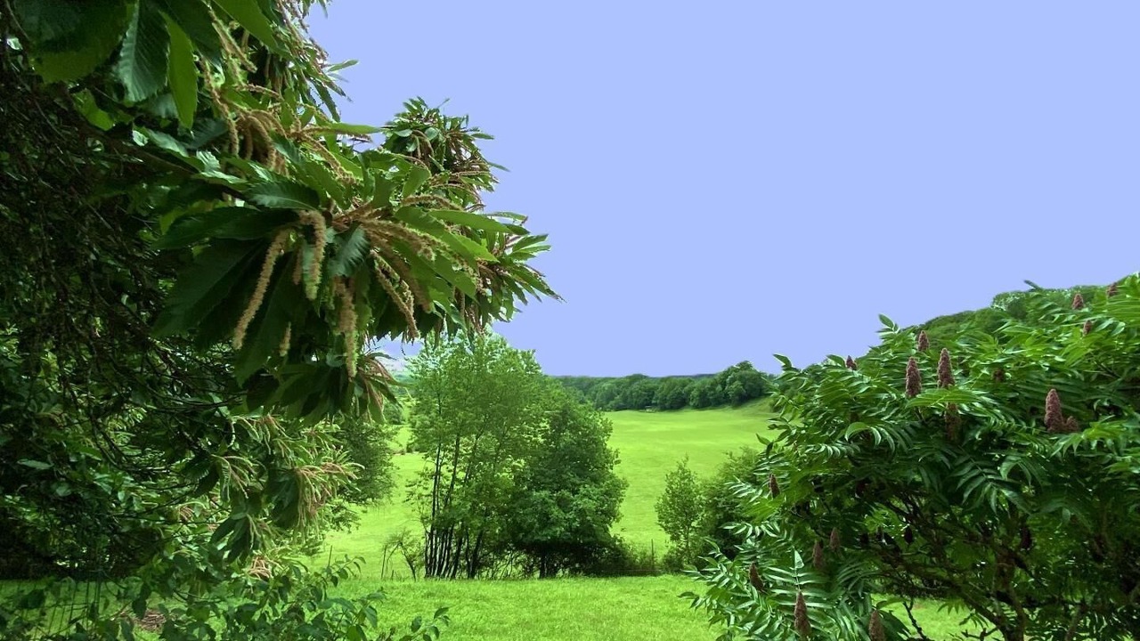 Photo of Outdoor in Chilly