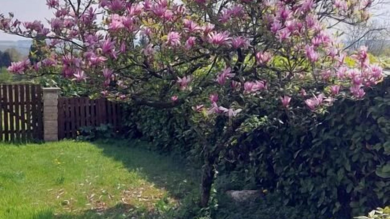 Photo of Outdoor in Eteignieres