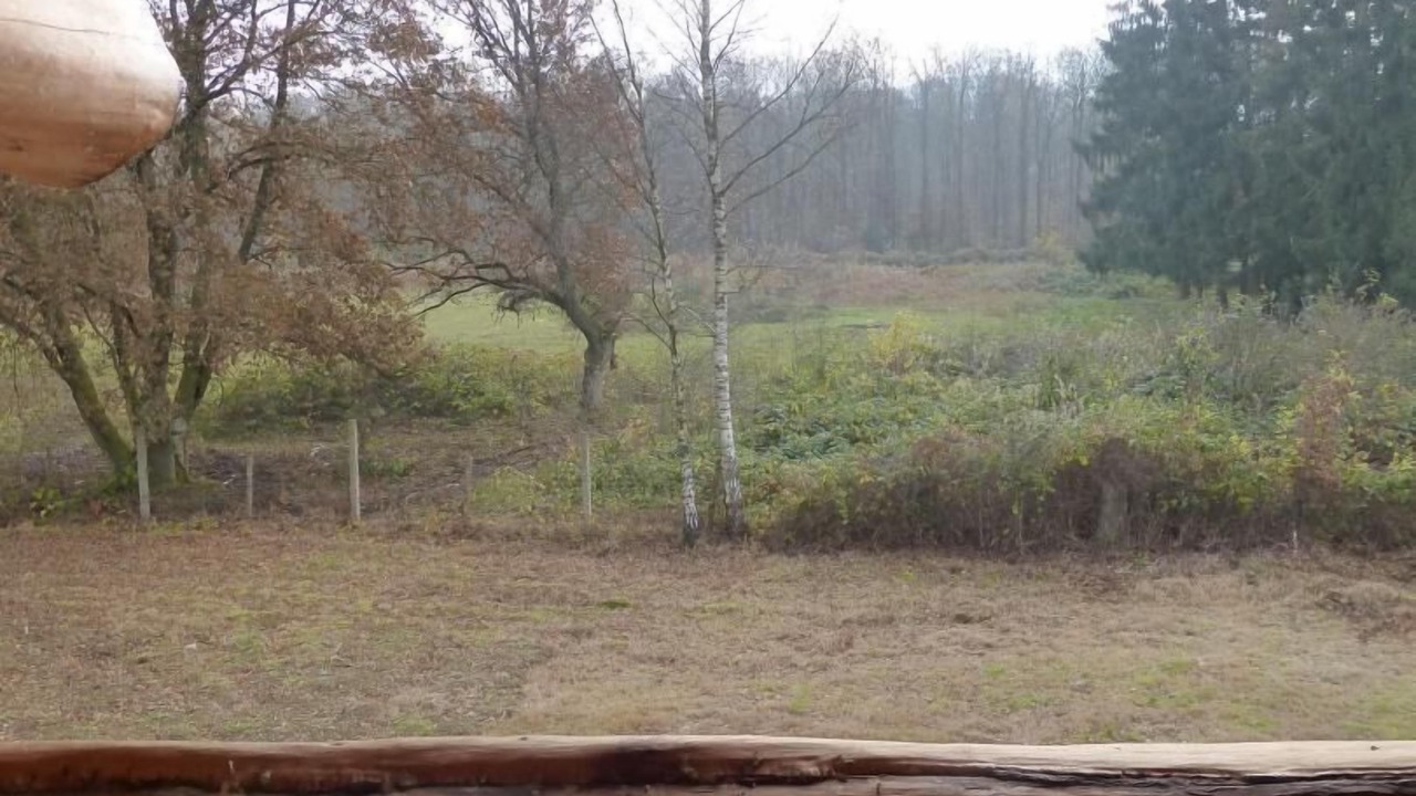 Photo of Outdoor in Haybes
