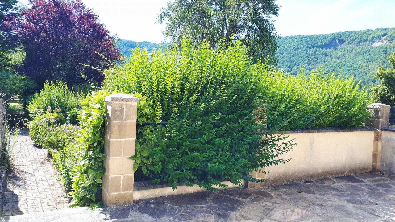 Photo of Outdoor in Haybes