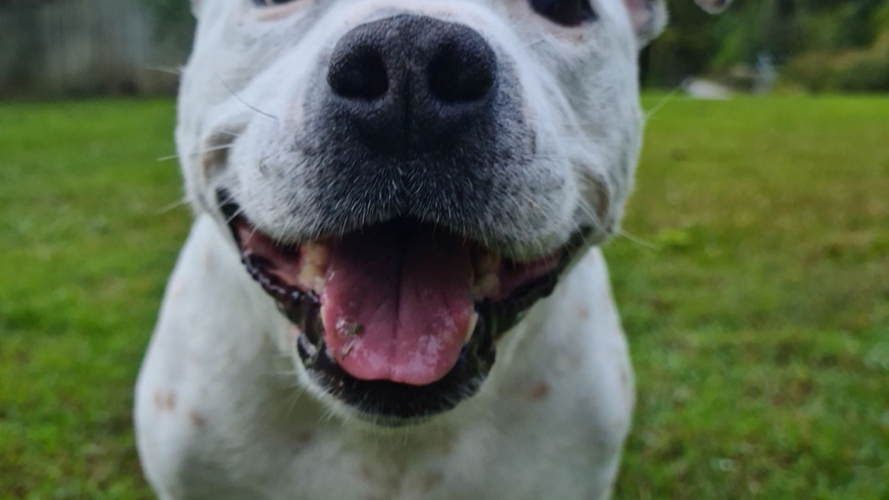 Photo of Others in Tewantin