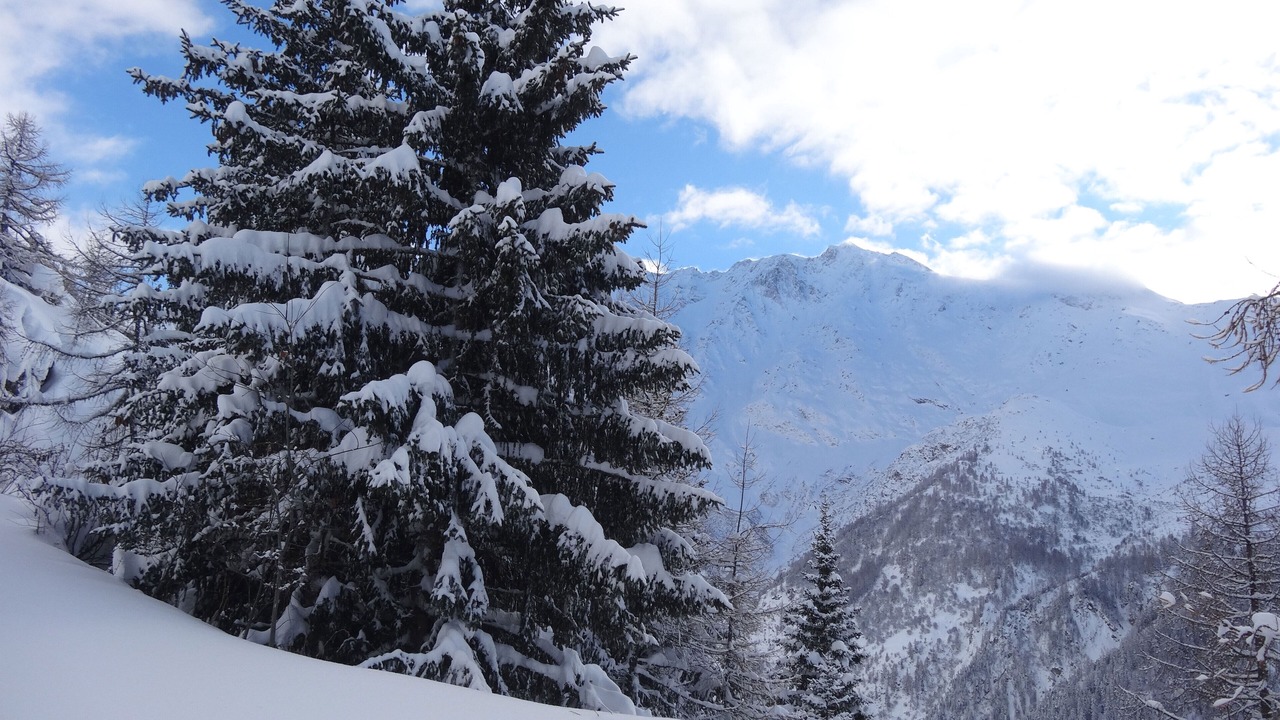 Photo of Others in Peisey-Nancroix