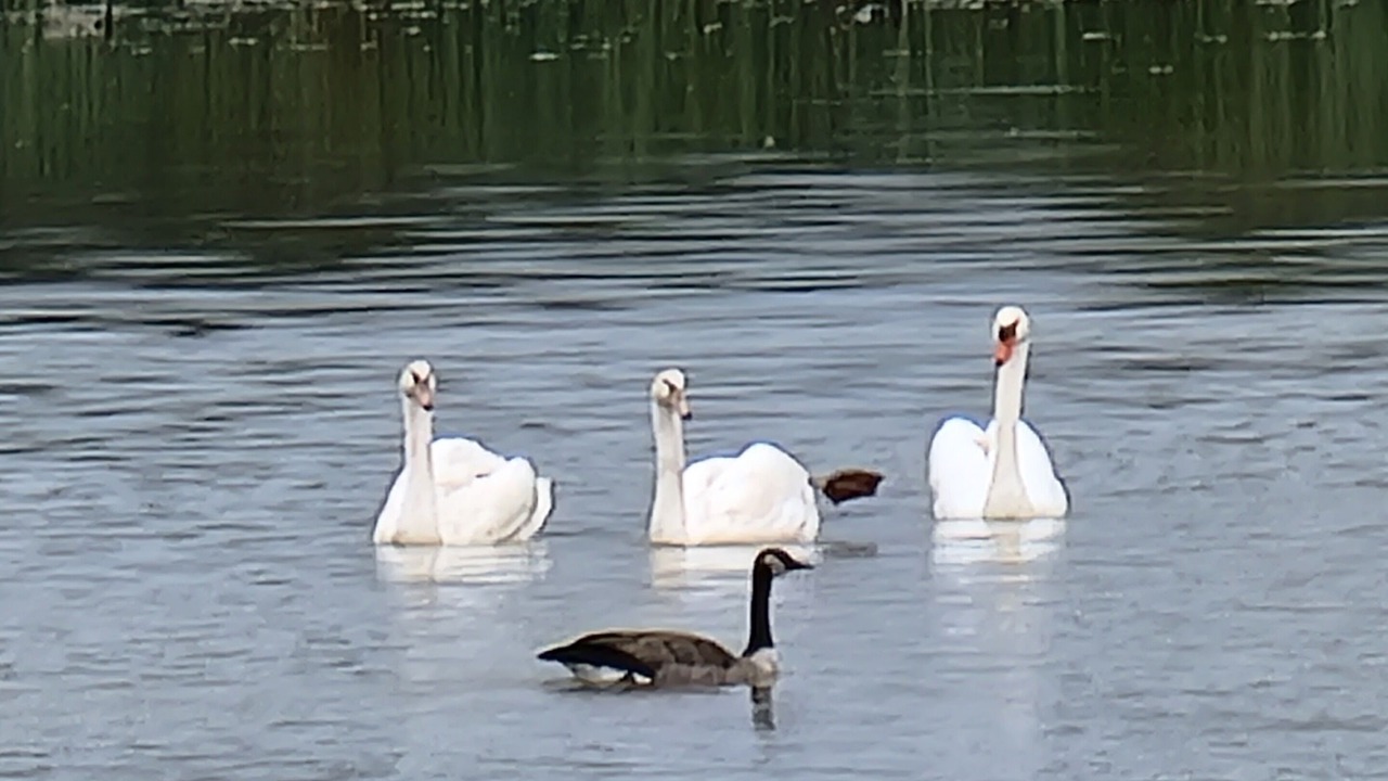 Photo of Outdoor in Port Franks