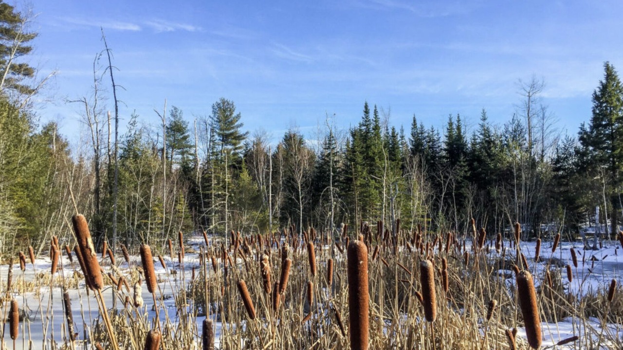 Photo of Others in Brunswick