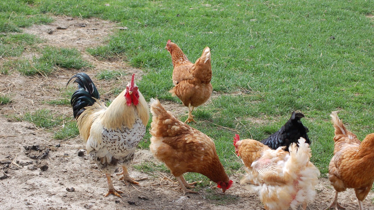 Photo of Outdoor in Mervans