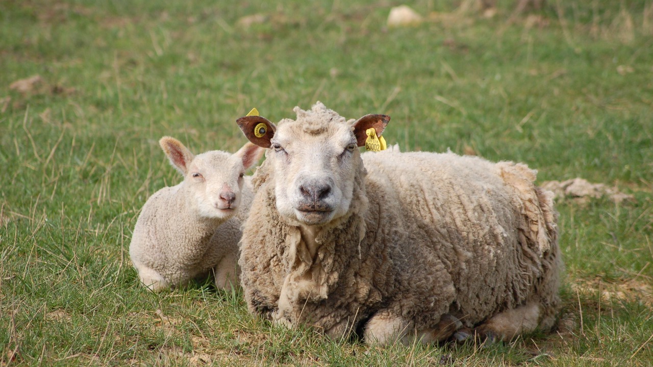 Photo of Outdoor in Mervans