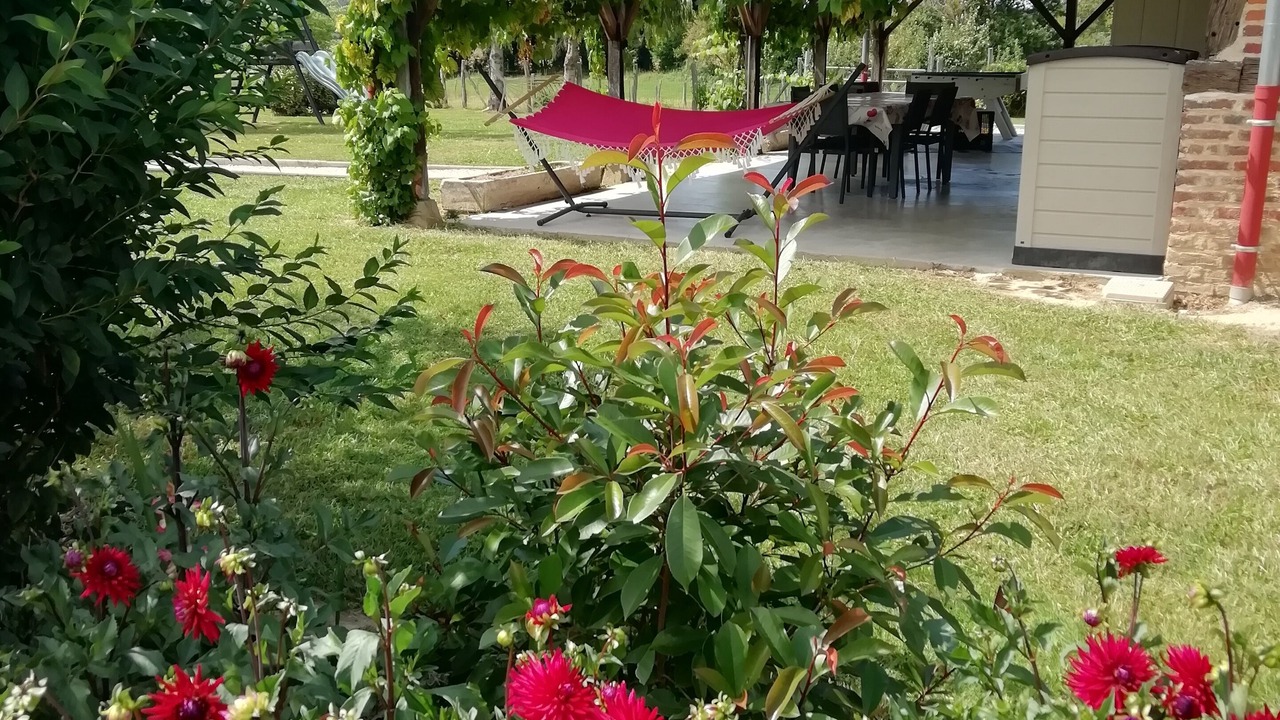 Photo of Outdoor in Mervans