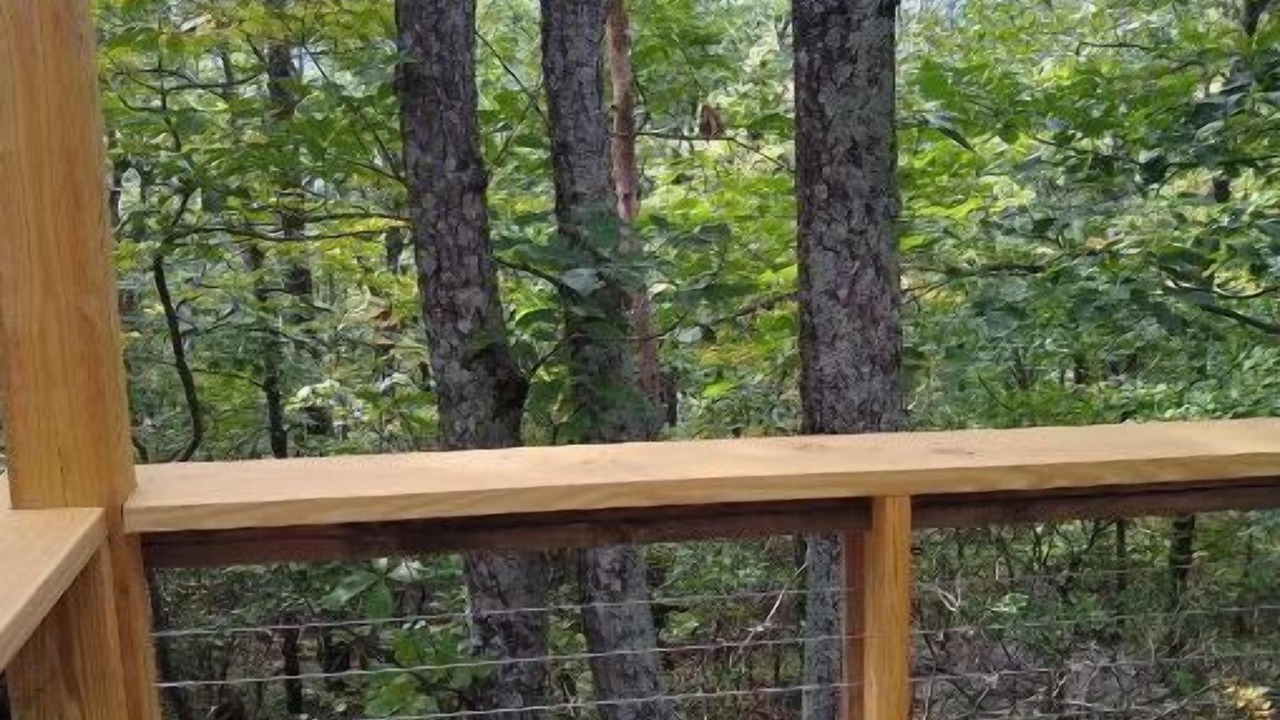Photo of Outdoor in Fancy Gap